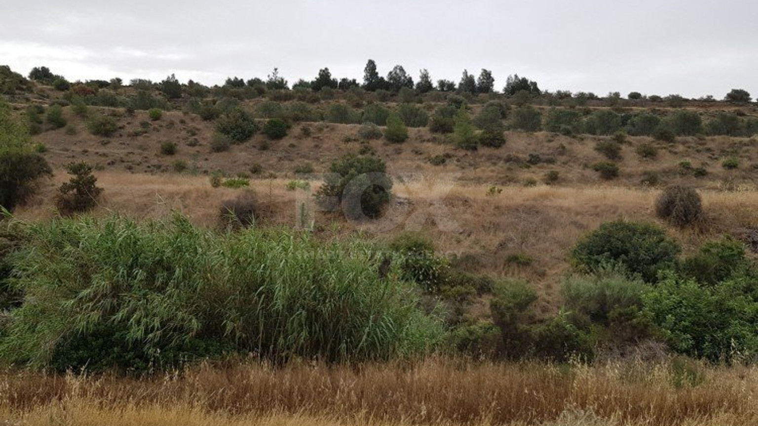 Land For Sale In Parekklisia Limassol Cyprus