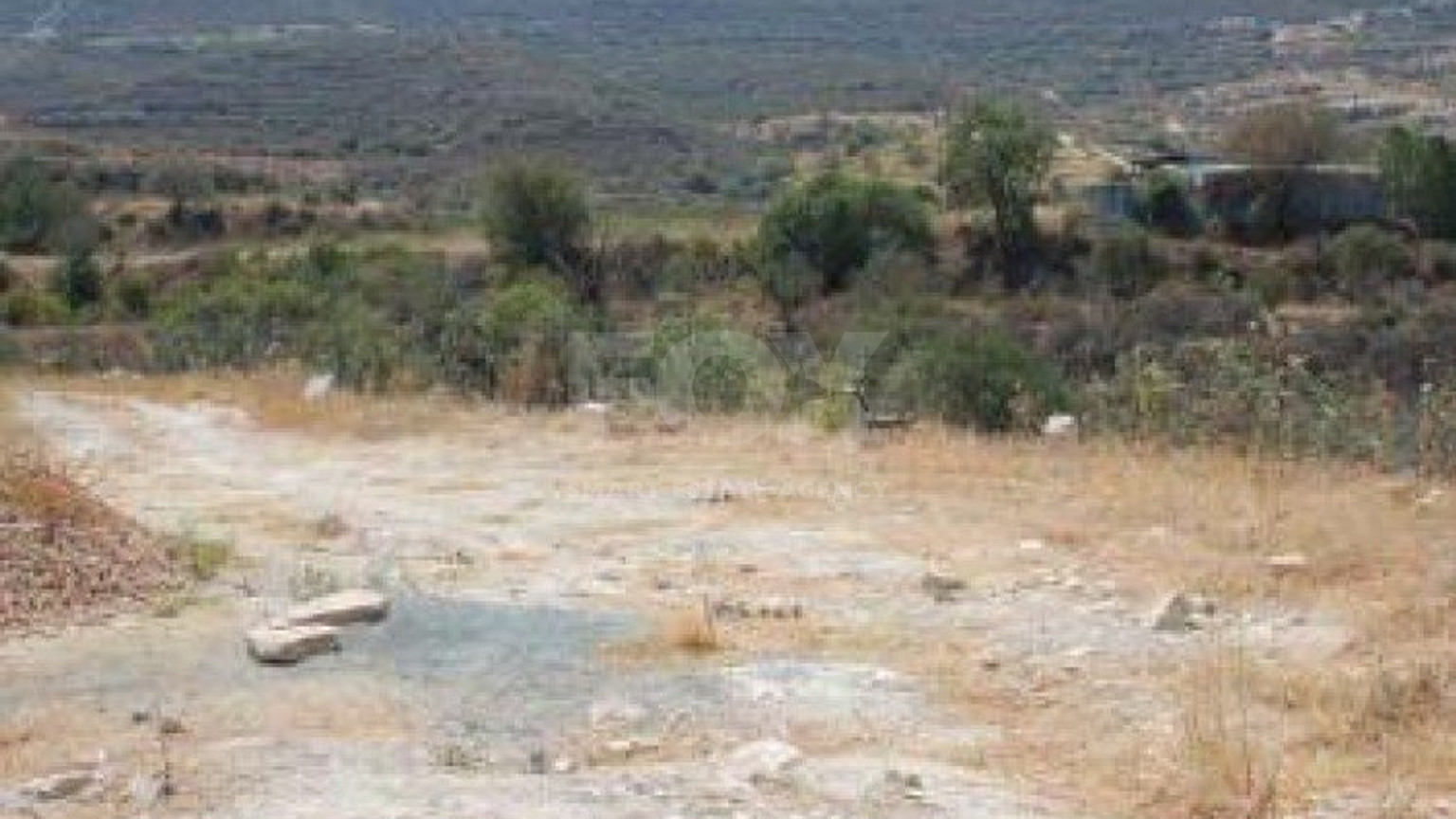 Land For Sale In Prastio Avdimou Limassol Cyprus