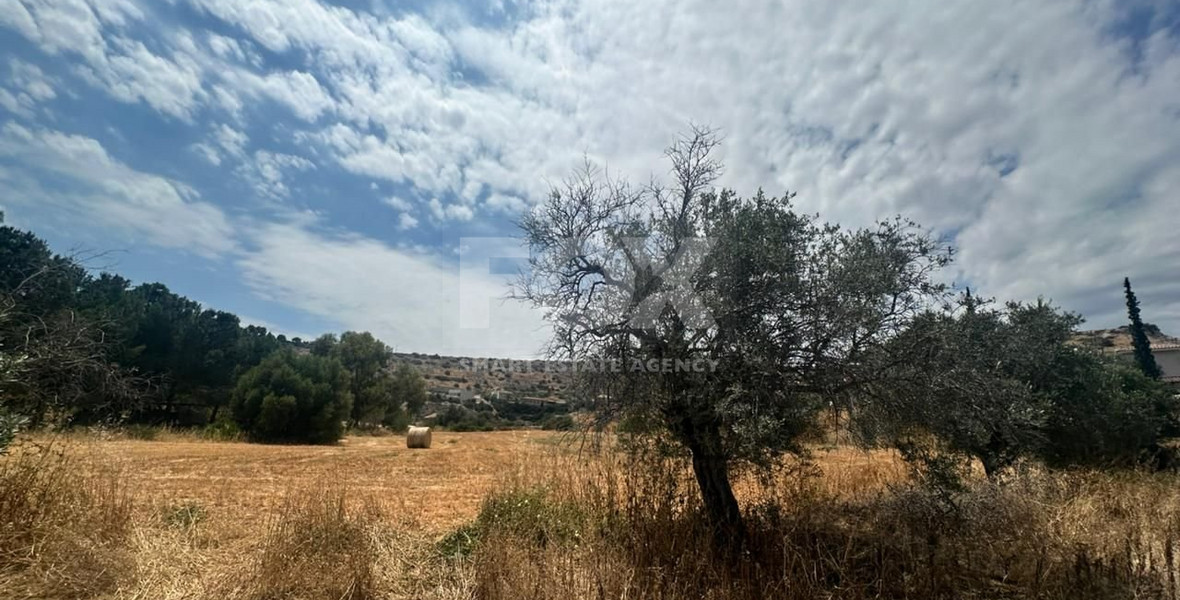 Land for Sale in Agios Tychon