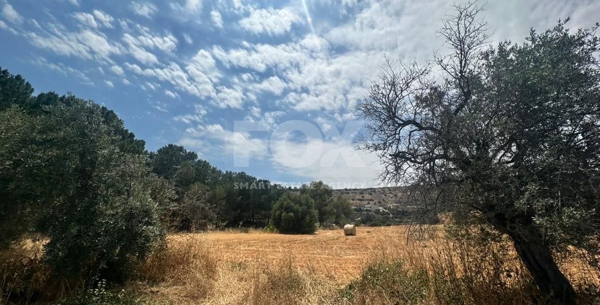 Land for Sale in Agios Tychon