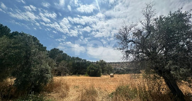 Land for Sale in Agios Tychon