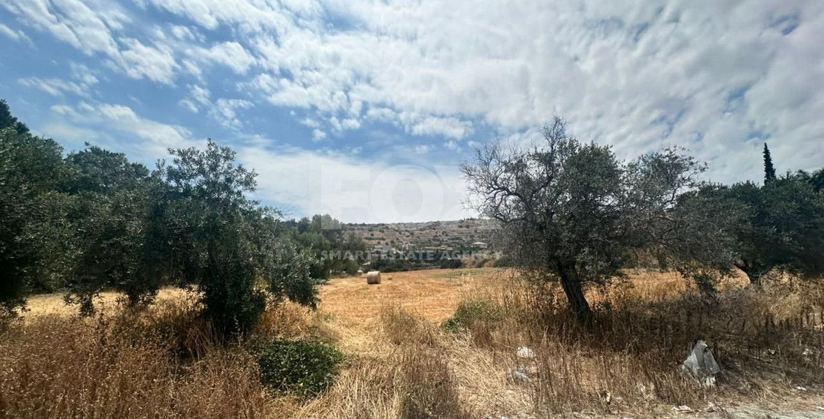Land for Sale in Agios Tychon