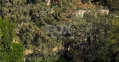 Land for Sale in Agios Tychon