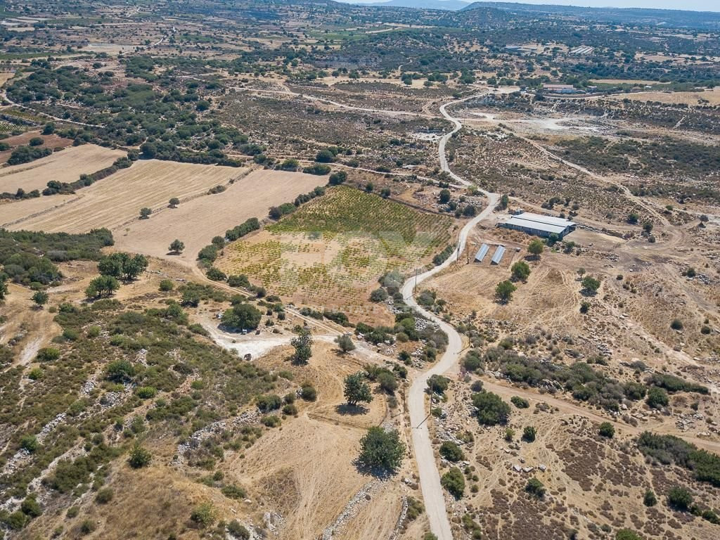 Half share of Agriculture land for sale in Pachna, Limassol