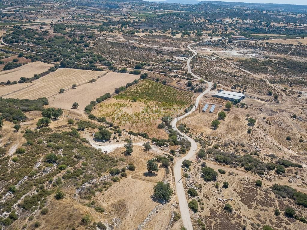 Half share of Agriculture land for sale in Pachna, Limassol