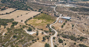 Half share of Agriculture land for sale in Pachna, Limassol