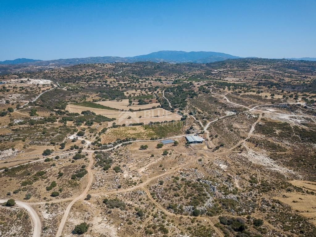 Half share of Agriculture land for sale in Pachna, Limassol