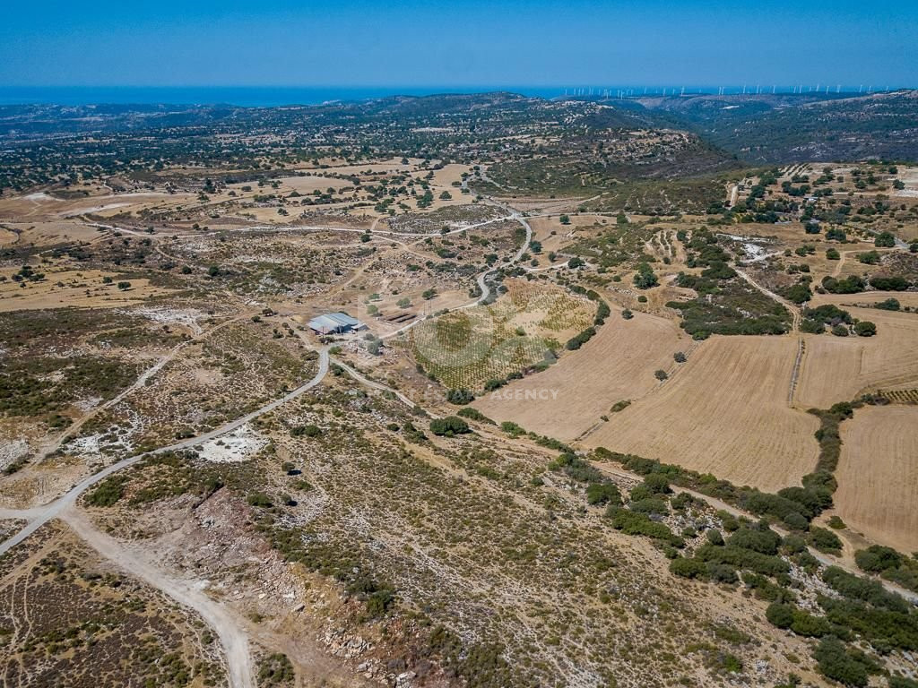 Half share of Agriculture land for sale in Pachna, Limassol