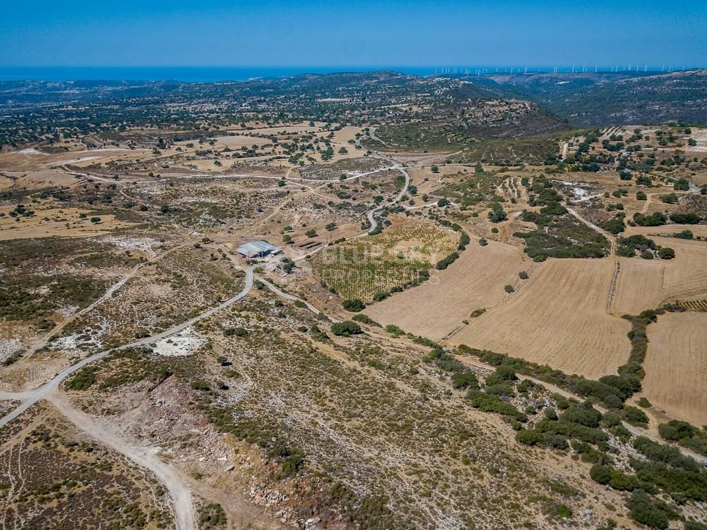 Half share of Agriculture land for sale in Pachna, Limassol