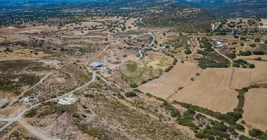 Half share of Agriculture land for sale in Pachna, Limassol