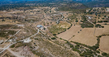 Half share of Agriculture land for sale in Pachna, Limassol