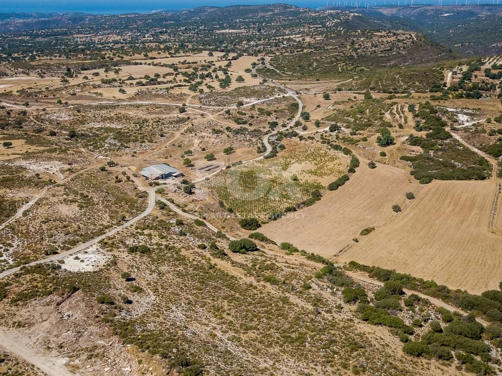 Half share of Agriculture land for sale in Pachna, Limassol