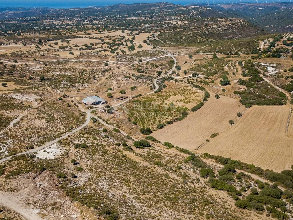 Half share of Agriculture land for sale in Pachna, Limassol