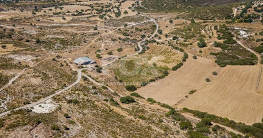 Half share of Agriculture land for sale in Pachna, Limassol