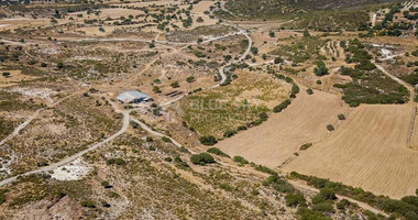Half share of Agriculture land for sale in Pachna, Limassol