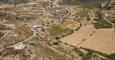 Half share of Agriculture land for sale in Pachna, Limassol
