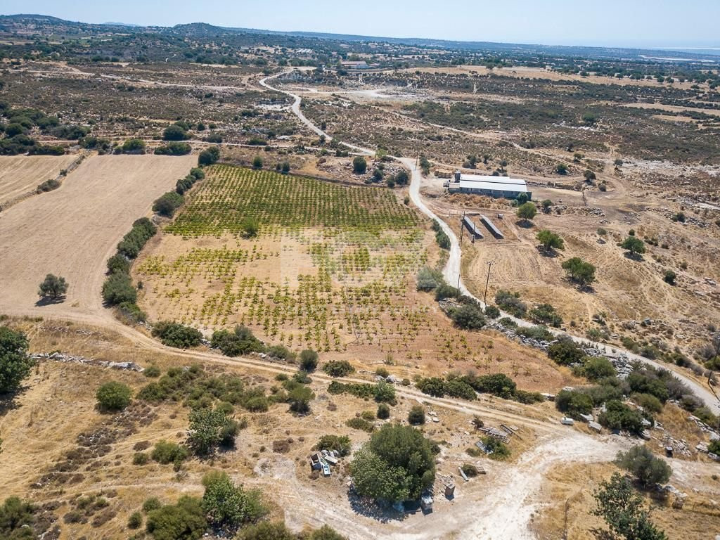 Half share of Agriculture land for sale in Pachna, Limassol