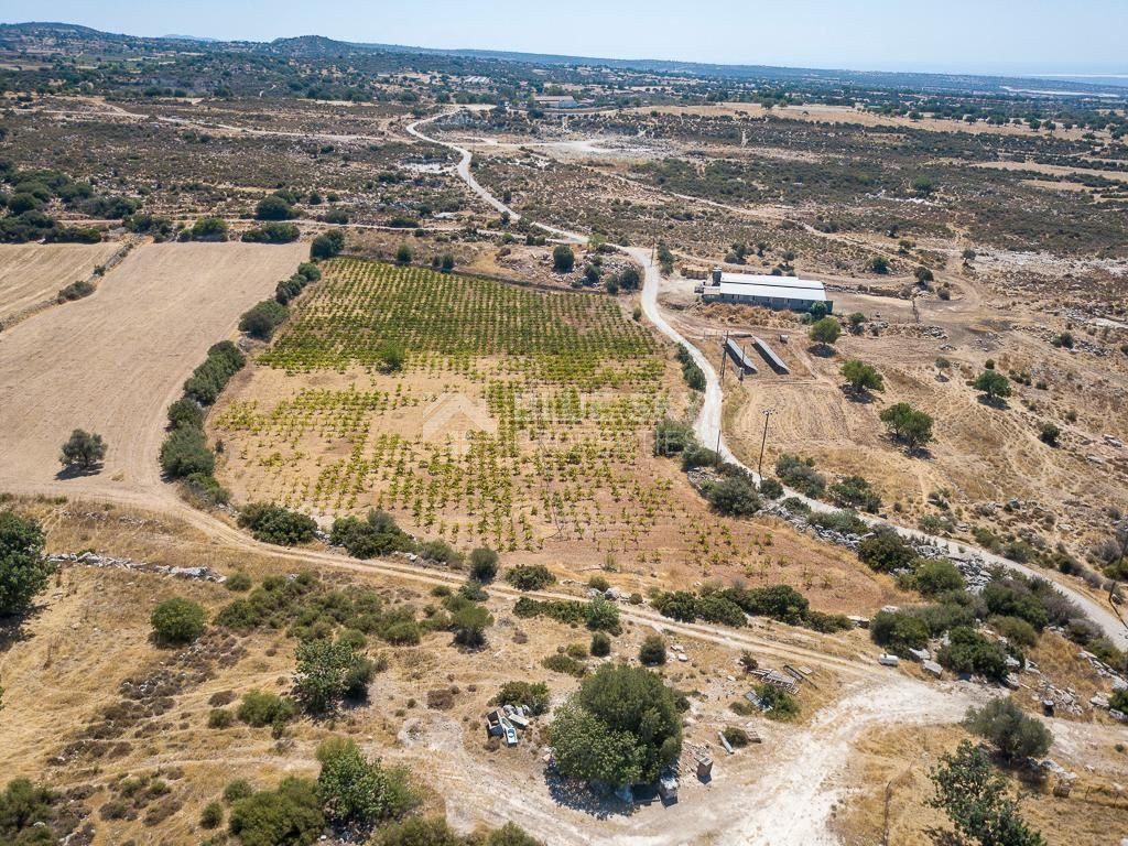 Half share of Agriculture land for sale in Pachna, Limassol