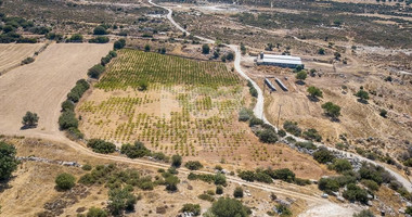 Half share of Agriculture land for sale in Pachna, Limassol
