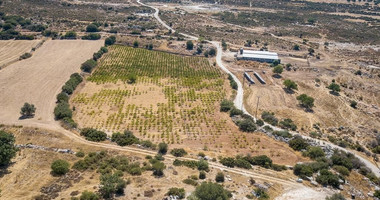 Half share of Agriculture land for sale in Pachna, Limassol