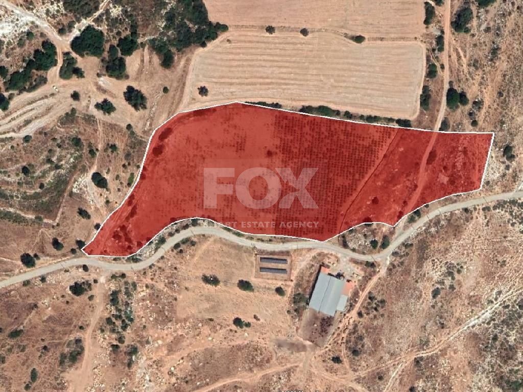 Half share of Agriculture land for sale in Pachna, Limassol