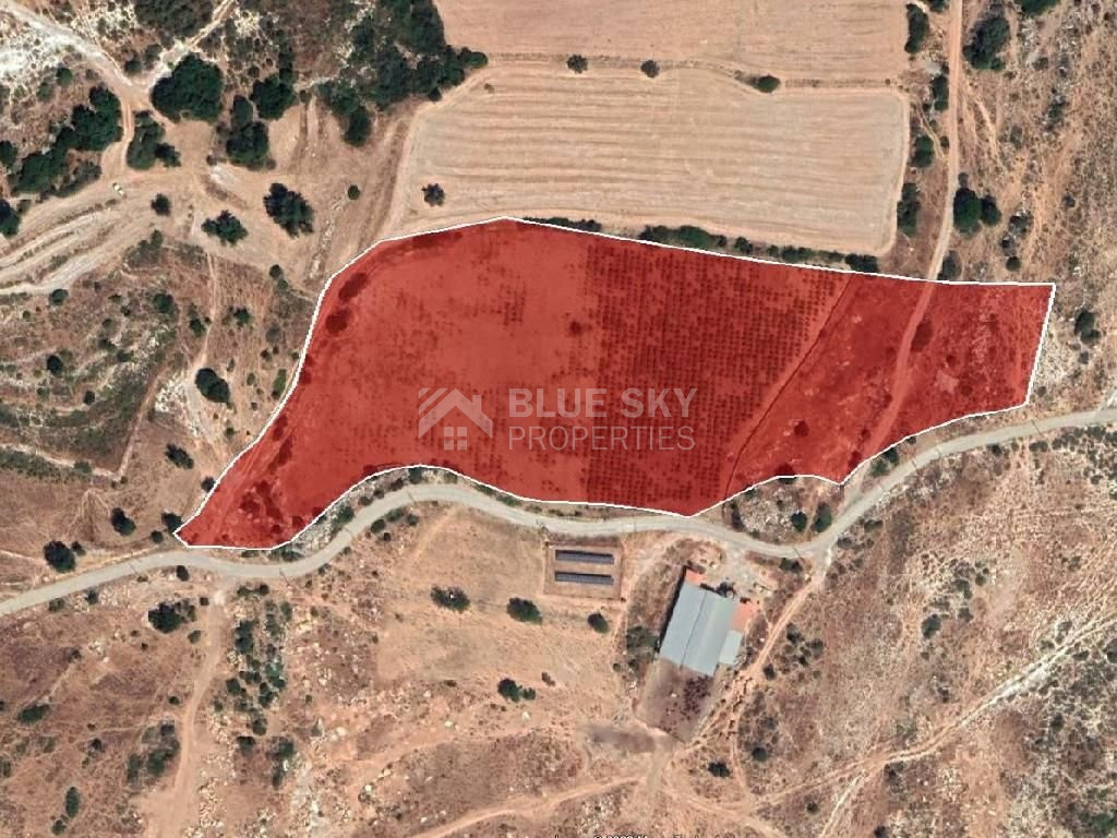 Half share of Agriculture land for sale in Pachna, Limassol