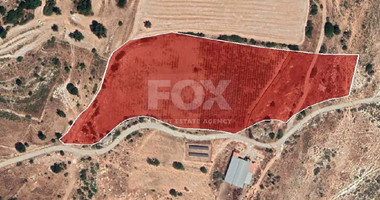 Half share of Agriculture land for sale in Pachna, Limassol