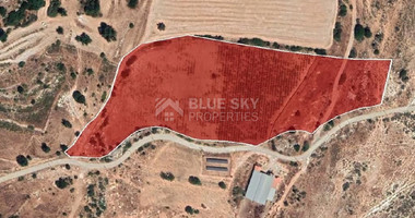 Half share of Agriculture land for sale in Pachna, Limassol