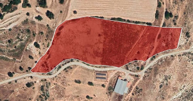 Half share of Agriculture land for sale in Pachna, Limassol