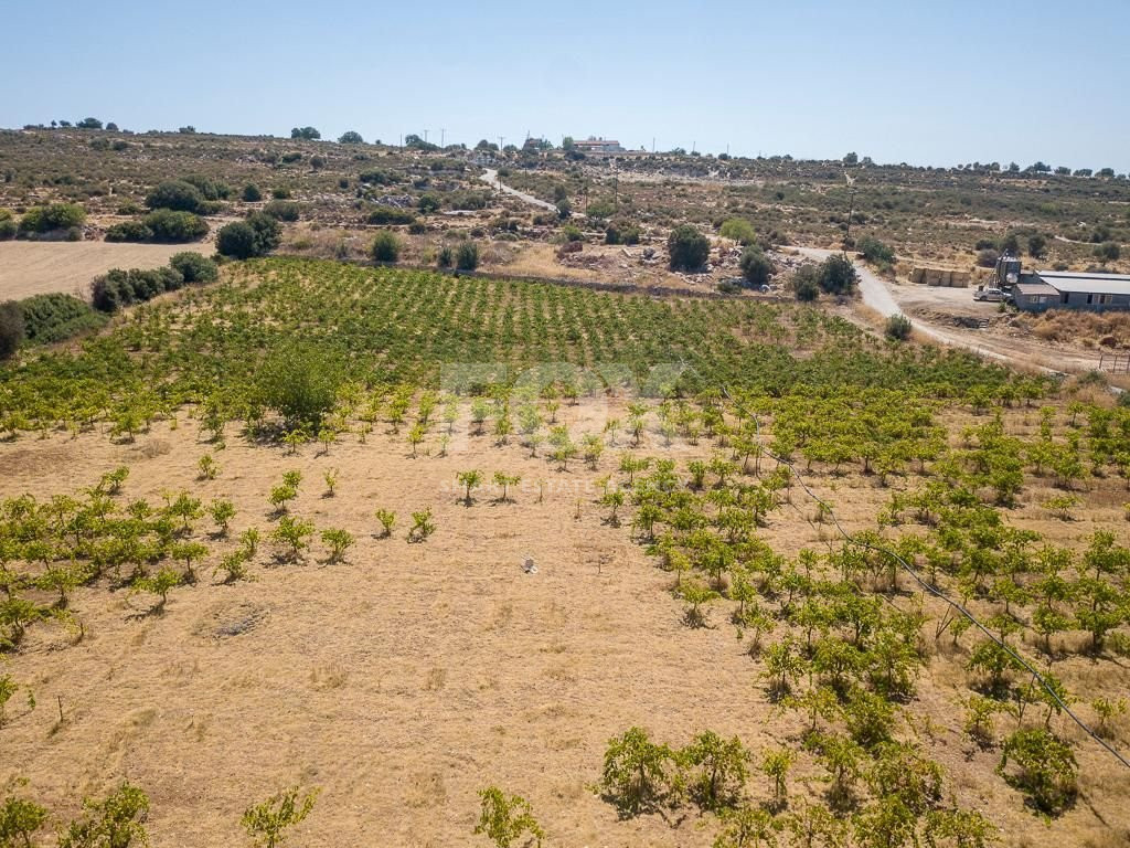 Half share of Agriculture land for sale in Pachna, Limassol