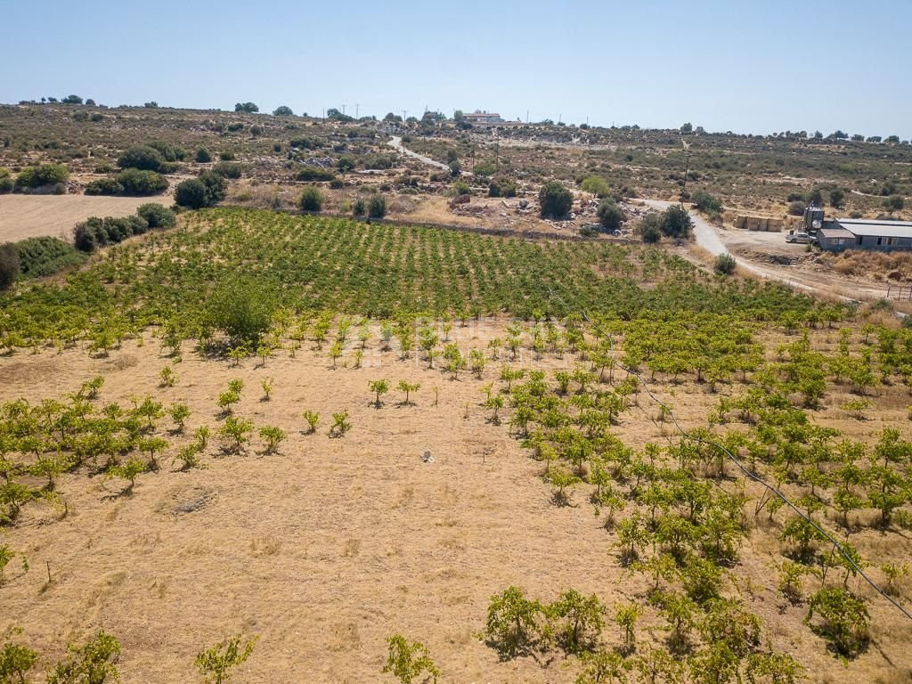 Half share of Agriculture land for sale in Pachna, Limassol