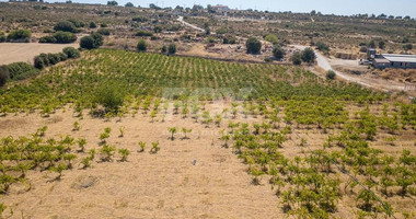 Half share of Agriculture land for sale in Pachna, Limassol