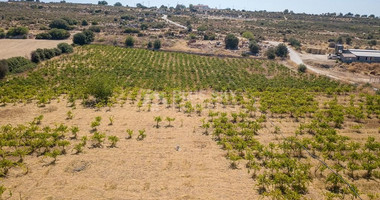 Half share of Agriculture land for sale in Pachna, Limassol