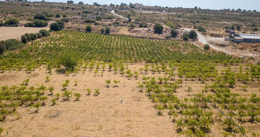 Half share of Agriculture land for sale in Pachna, Limassol