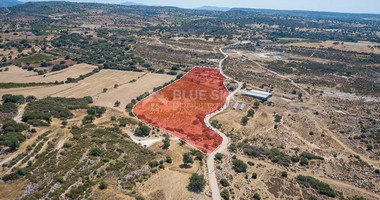 Half share of Agriculture land for sale in Pachna, Limassol