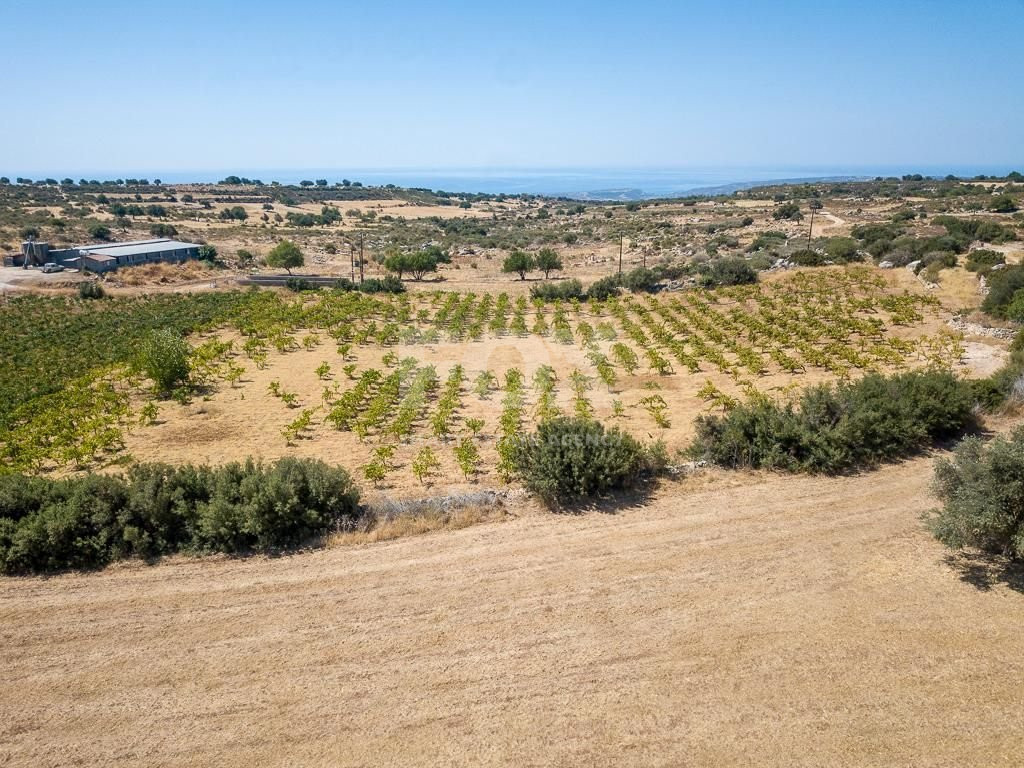 Half share of Agriculture land for sale in Pachna, Limassol