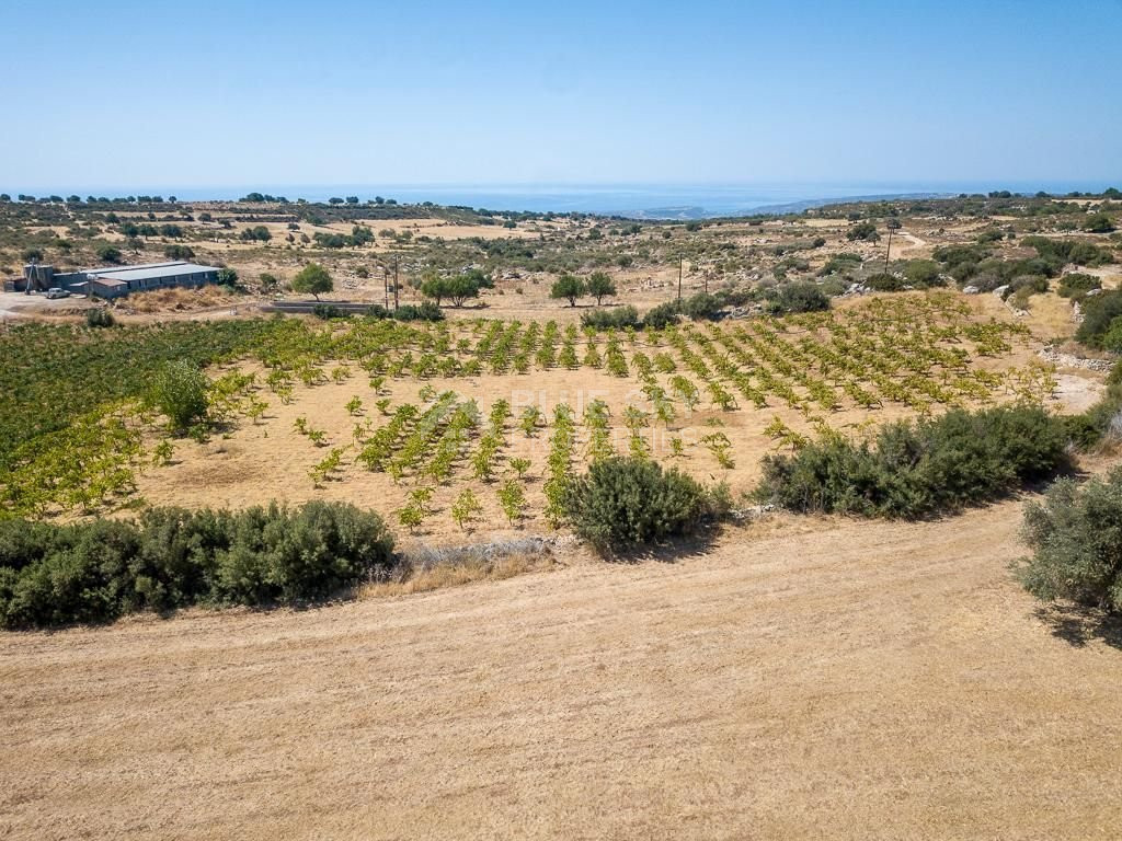 Half share of Agriculture land for sale in Pachna, Limassol