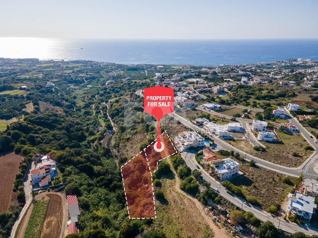Filed in Kissonerga Community of Paphos