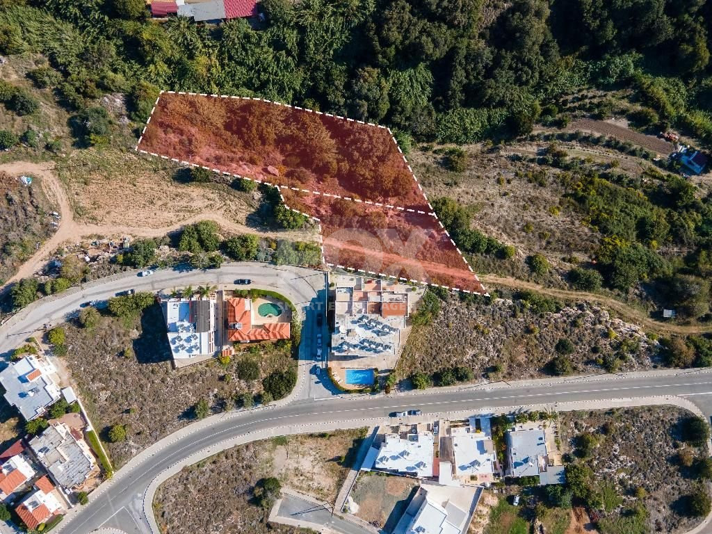 Filed in Kissonerga Community of Paphos