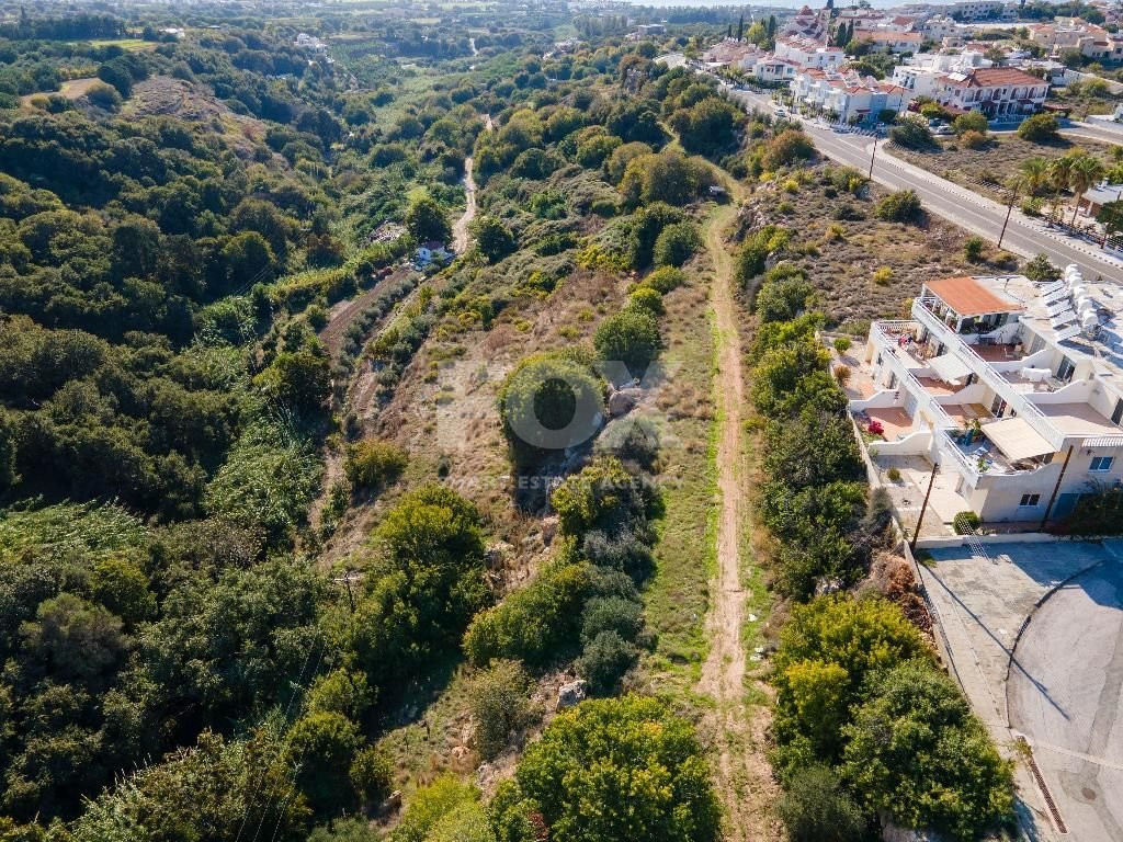 Filed in Kissonerga Community of Paphos