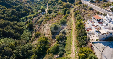 Filed in Kissonerga Community of Paphos
