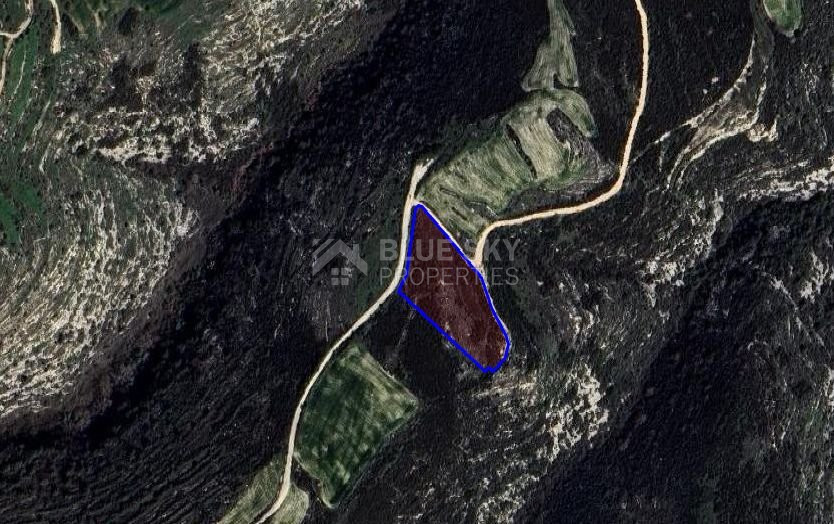 Agriculture land for sale in Pano Arodes village, Paphos