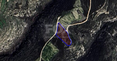 Agriculture land for sale in Pano Arodes village, Paphos