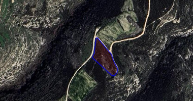 Agriculture land for sale in Pano Arodes village, Paphos