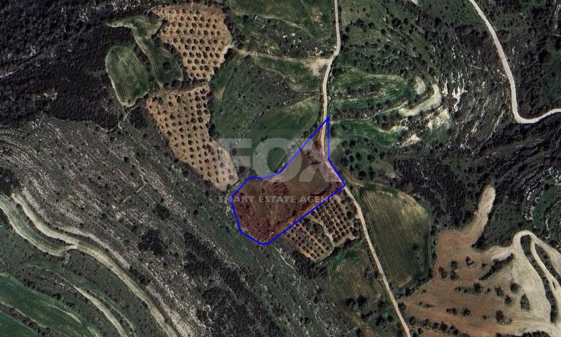 Agriculture land for sale in Kritou Tera village, Paphos
