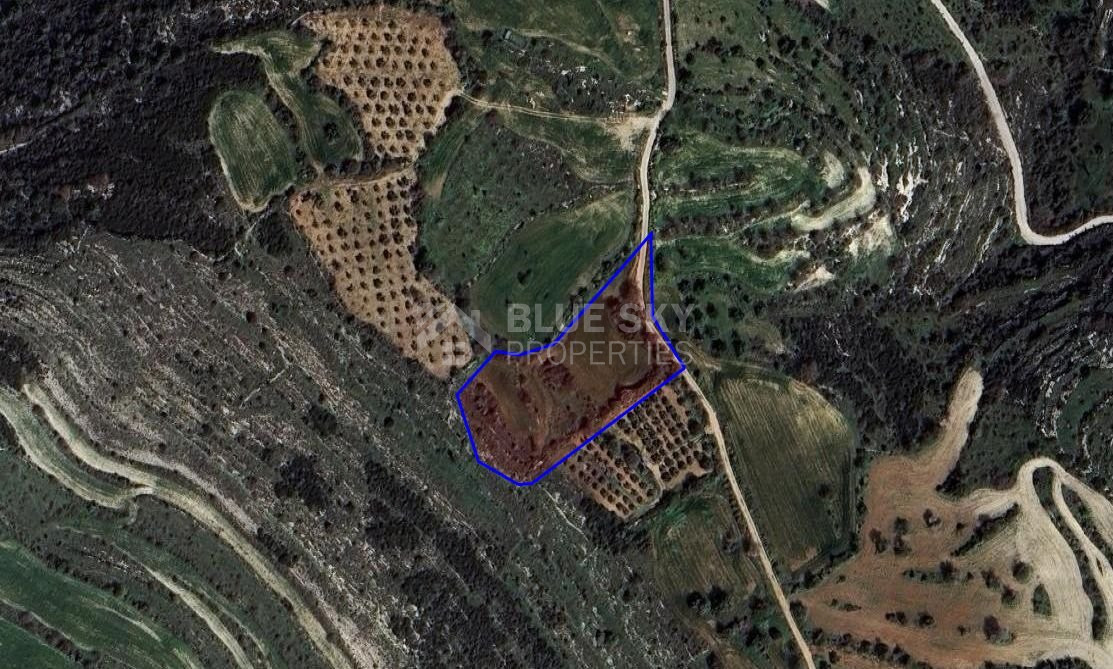 Agriculture land for sale in Kritou Tera village, Paphos