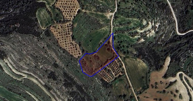 Agriculture land for sale in Kritou Tera village, Paphos
