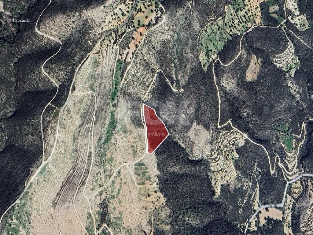 Agriculture land for sale in Laneia village, Limassol