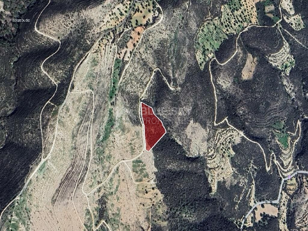 Agriculture land for sale in Laneia village, Limassol