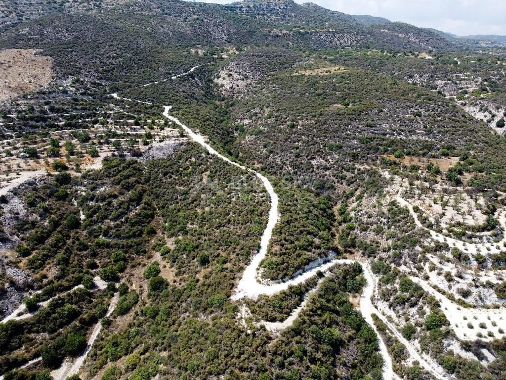Agriculture land for sale in Laneia village, Limassol